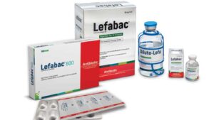 Zyvox (Linezolid) 600mg